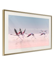 Plakatas  Flamingos Breaking into a Flight