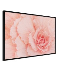 Plakatas  Delicate Petals