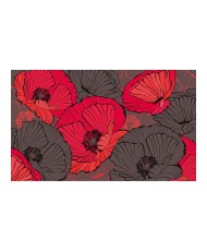 Fototapetas  Pleated poppies