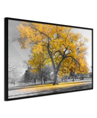 Plakatas  Golden Tree