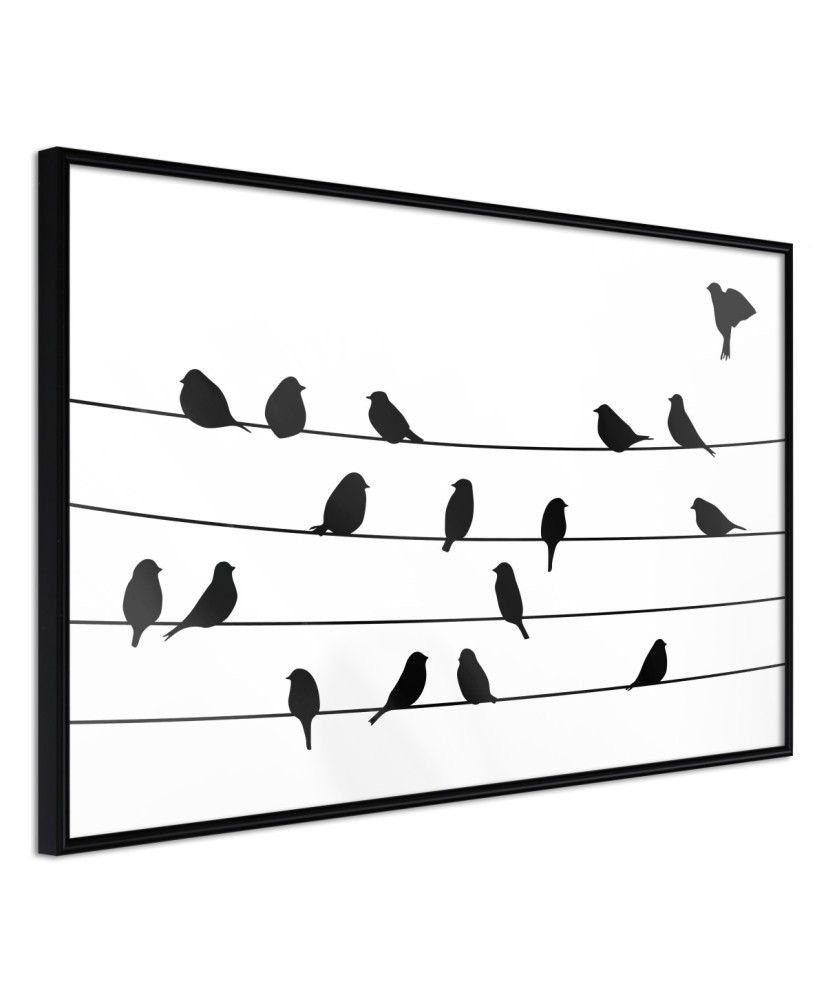 Plakatas  Birds Council Meeting