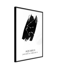 Plakatas  Zodiac Aquarius I