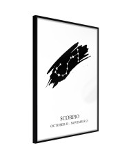 Plakatas  Zodiac Scorpio I