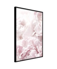 Plakatas  Joyful Morning