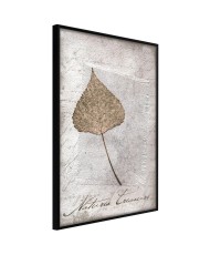 Plakatas  Dried Leaf
