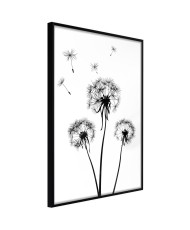 Plakatas  End of Summer