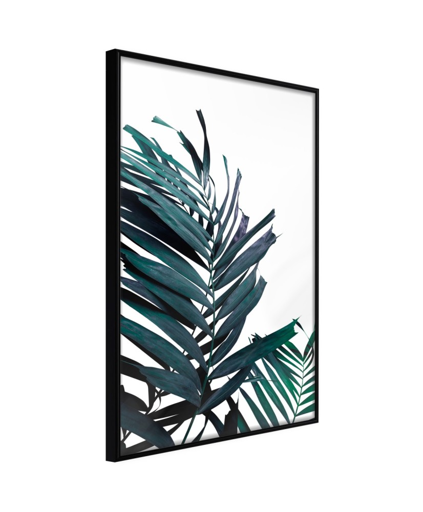 Plakatas  Evergreen Palm Leaves
