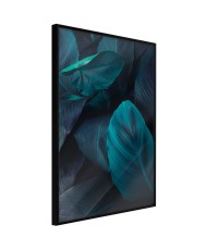 Plakatas  Evergreen Leaves