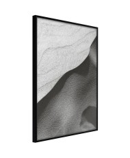 Plakatas  Beauty of the Desert