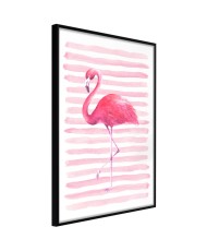 Plakatas  Pink Madness