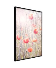 Plakatas  Poppies