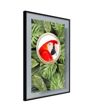 Plakatas  Parrot Says Hi