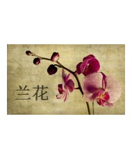 Fototapetas  Japanese orchid