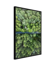 Plakatas  Forest from a Birds Eye View