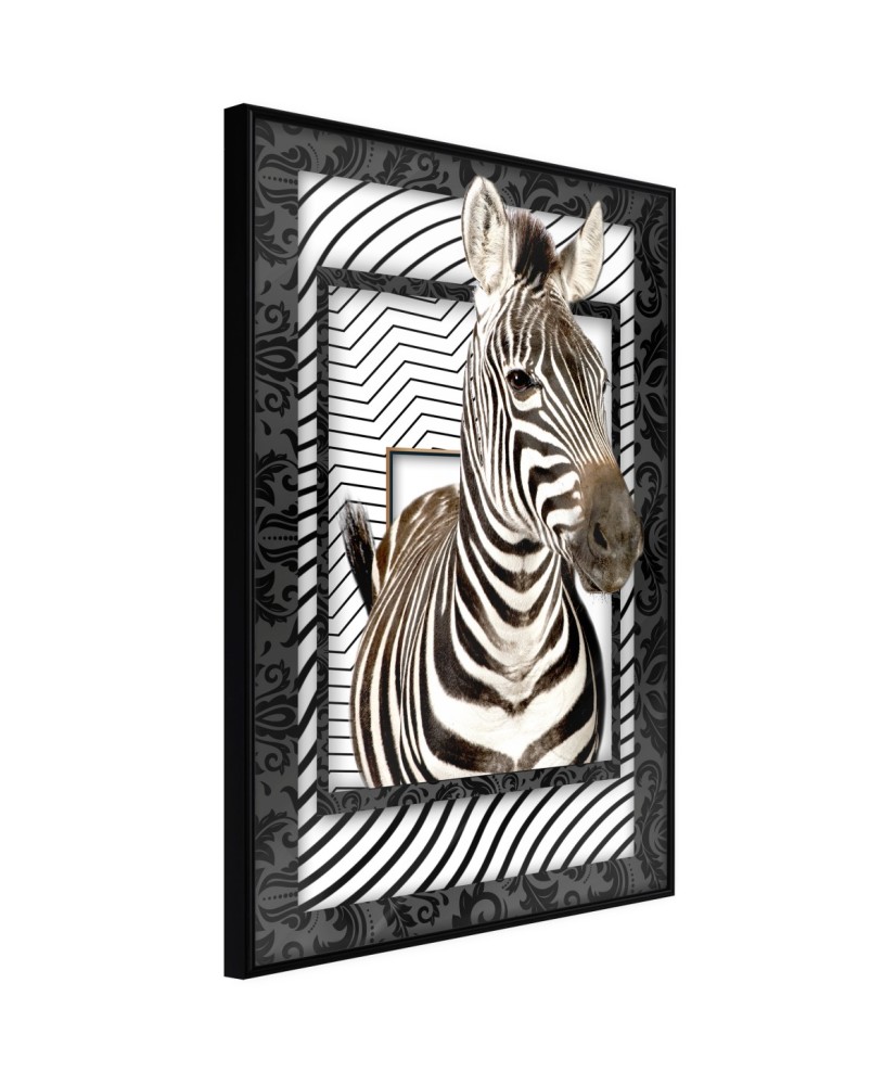 Plakatas  Zebra in the Frame