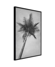 Plakatas  Memories from the Paradise