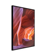 Plakatas  Nature is an Artist