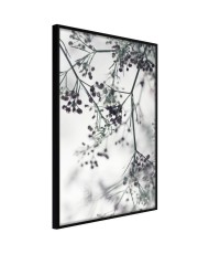 Plakatas  Sprinkled with Flowers