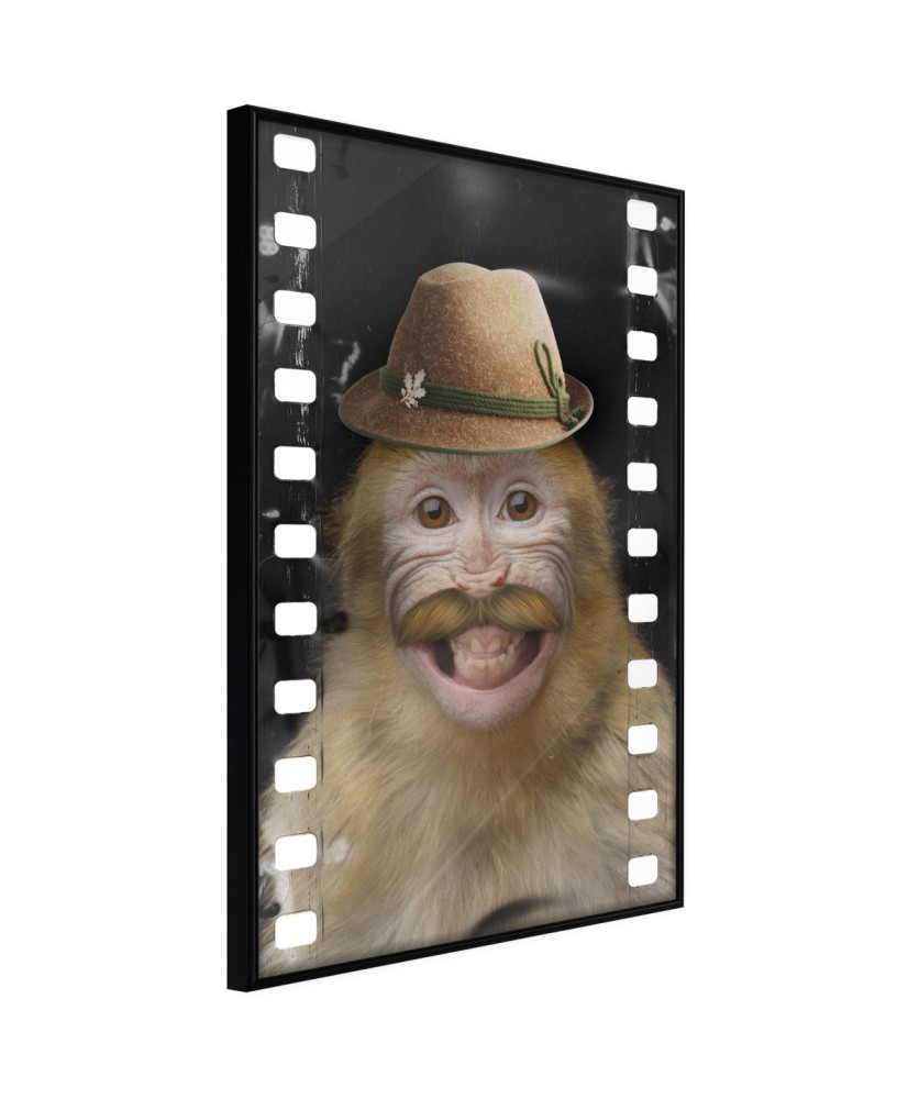 Plakatas  Dressed Up Monkey