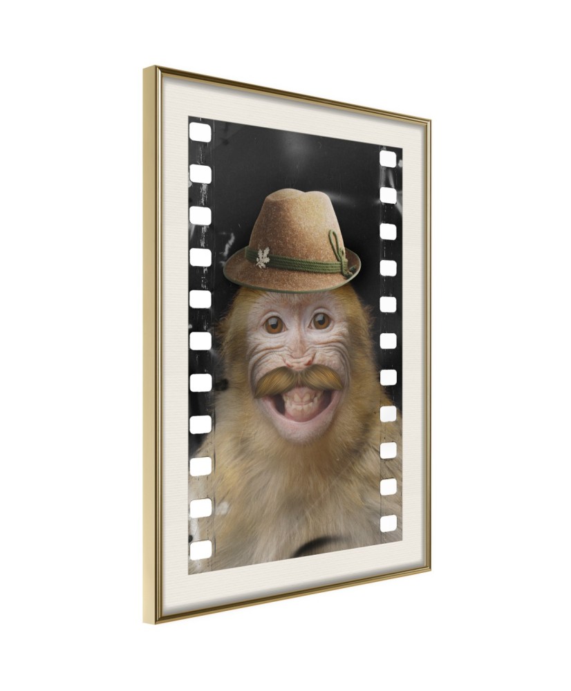 Plakatas  Dressed Up Monkey