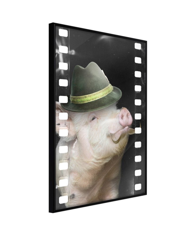Plakatas  Dressed Up Piggy