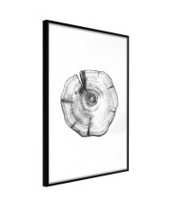 Plakatas  Tree Rings