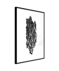 Plakatas  Texture of a Tree