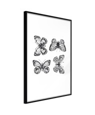 Plakatas  Butterfly Collection III