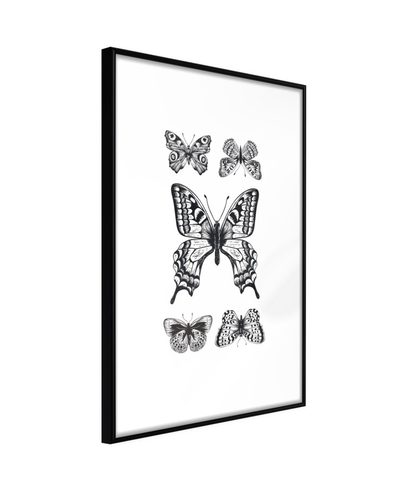 Plakatas  Butterfly Collection IV