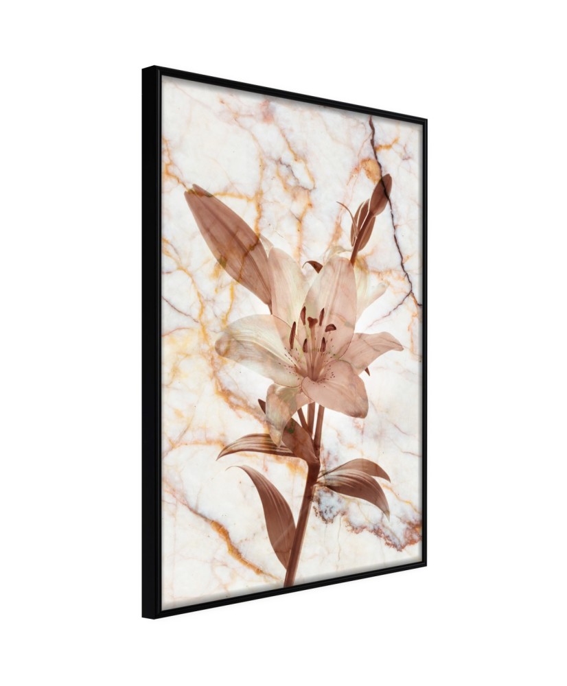 Plakatas  Lily on Marble Background