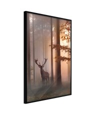 Plakatas  Forest Seclusion