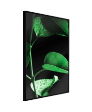 Plakatas  Calm After the Storm