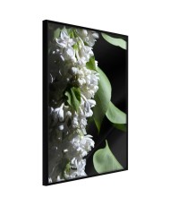 Plakatas  Fragrant Spring