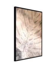 Plakatas  Monstera of Dreams