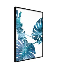 Plakatas  Sapphire Monstera