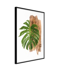 Plakatas  Leafy Etude