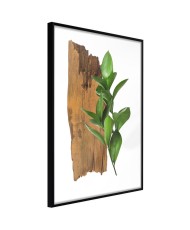 Plakatas  Forest Bouquet