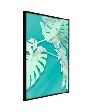 Plakatas  Teal Monstera