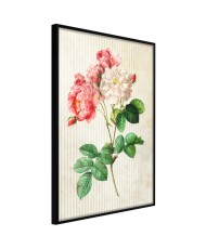 Plakatas  Romance II