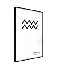 Plakatas  Zodiac Aquarius II