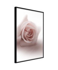 Plakatas  Subtle Flower