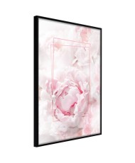 Plakatas  Floral Dreams