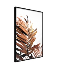 Plakatas  Copper Palm