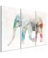 Paveikslas  Painted Elephant (3 Parts)