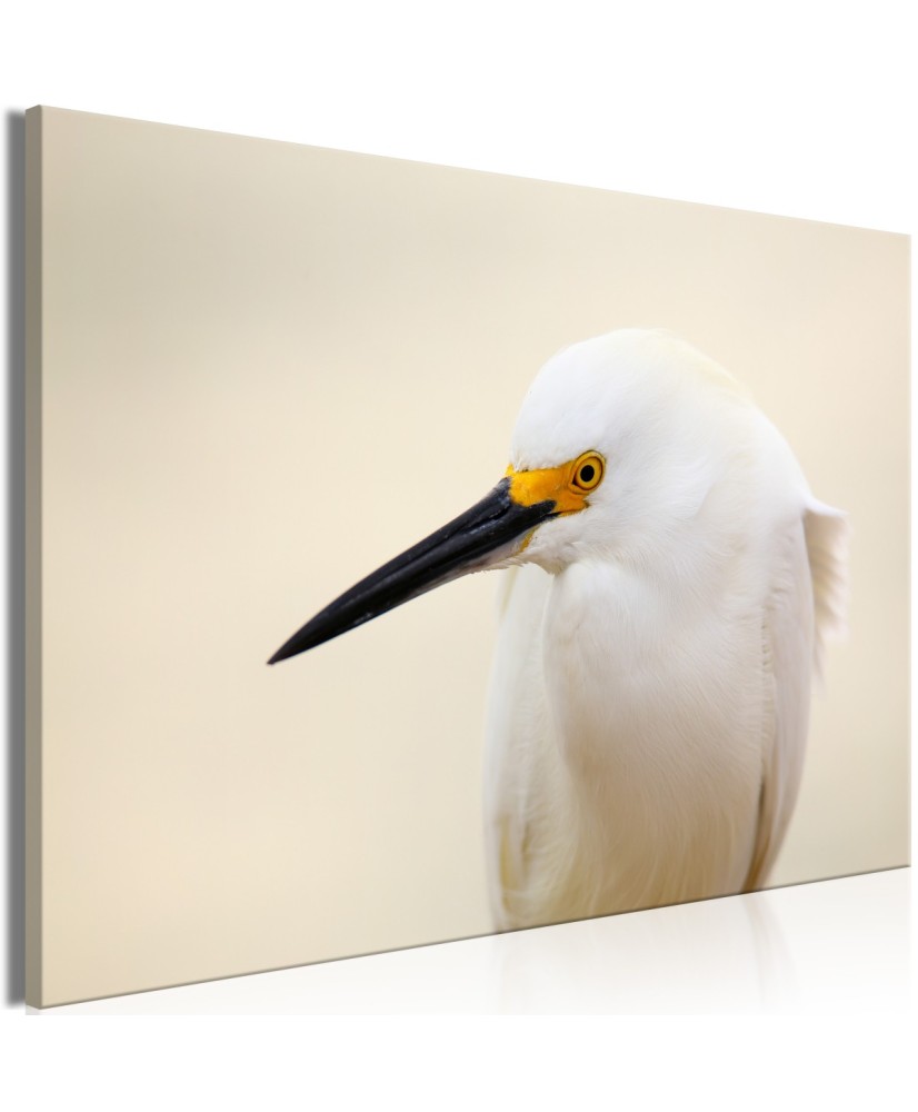 Paveikslas  Snowy Egret (1 Part) Wide