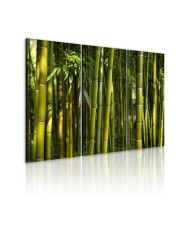 Paveikslas  Green bamboo