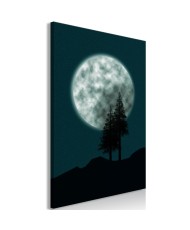Paveikslas  Beautiful Full Moon (1 Part) Vertical