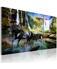 Paveikslas  Horse on the skyblue waterfall background