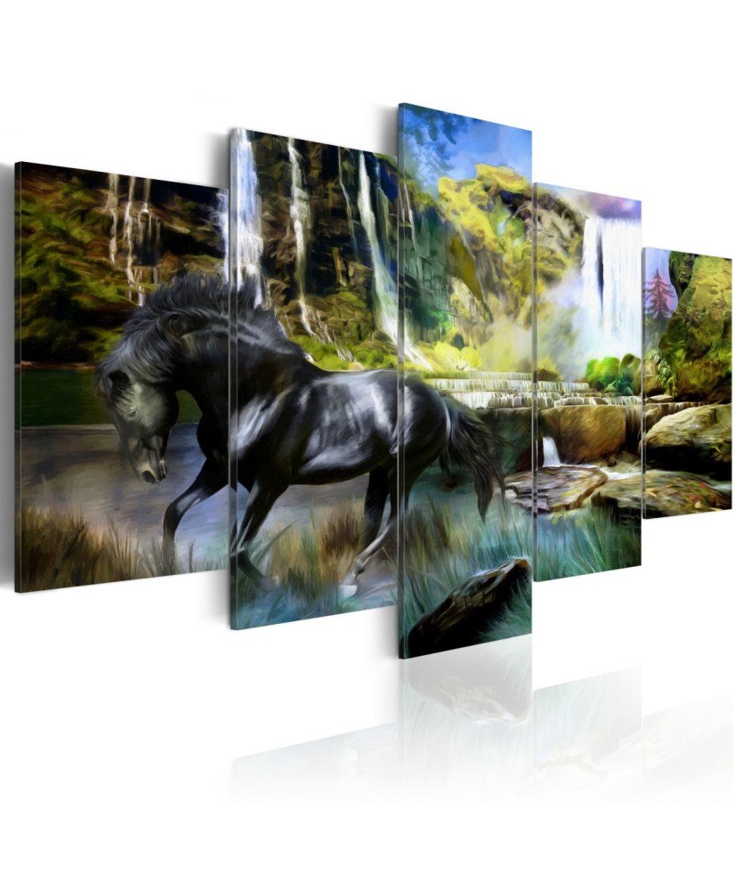 Paveikslas  Black horse on the background of paradise waterfall
