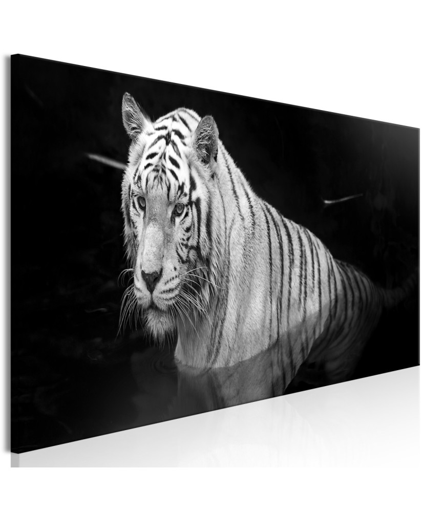 Paveikslas  Shining Tiger (1 Part) Black and White Narrow